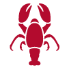 Shellfish icon