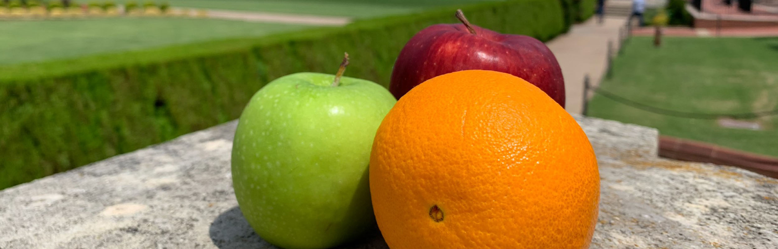 Two apples and an orange on a ledge