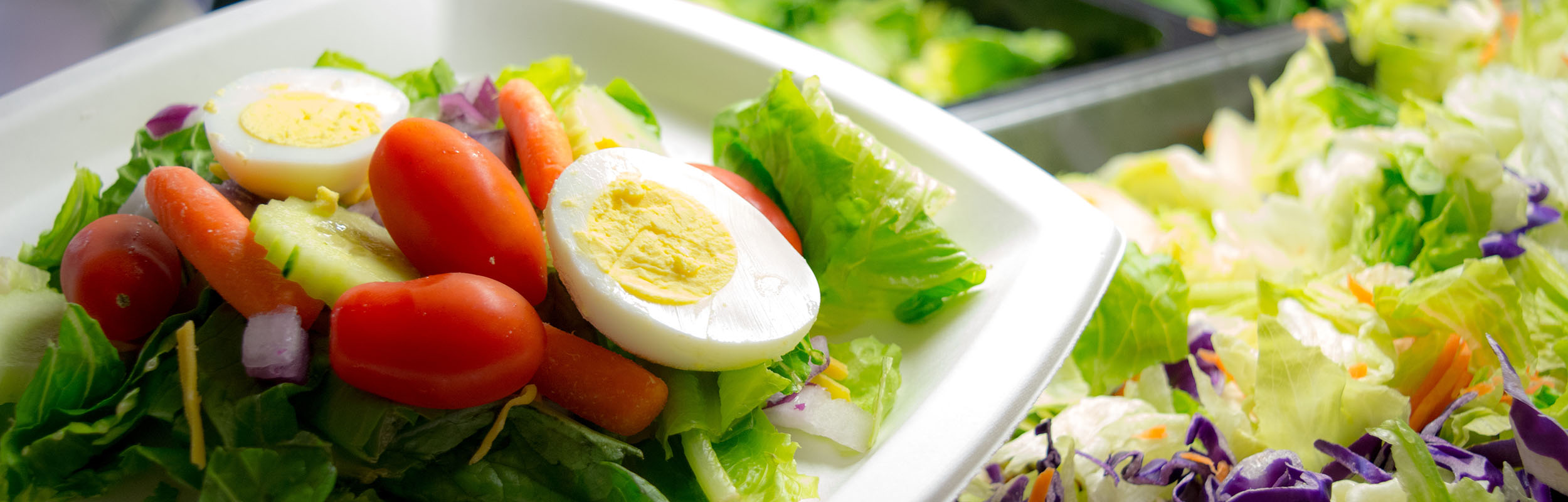 Salad at Red Earth Kitchen